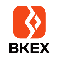 Bkex Icon